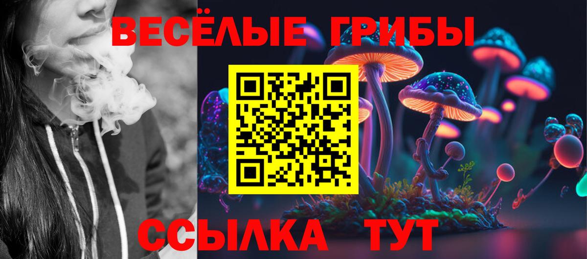 Галлюциногенные грибы Psilocybe Чита